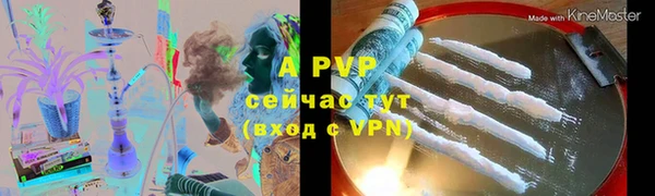 гидра Богородск