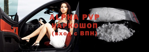 гидра Богородск