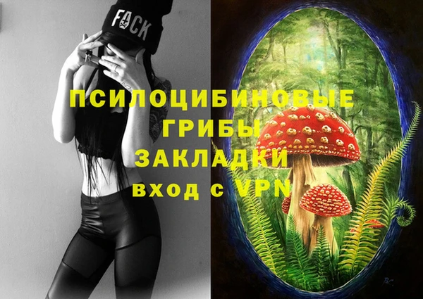 мдма Богданович
